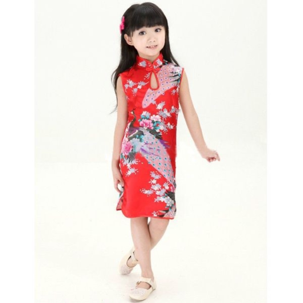 NWT Chinese costume Dress For Girl New